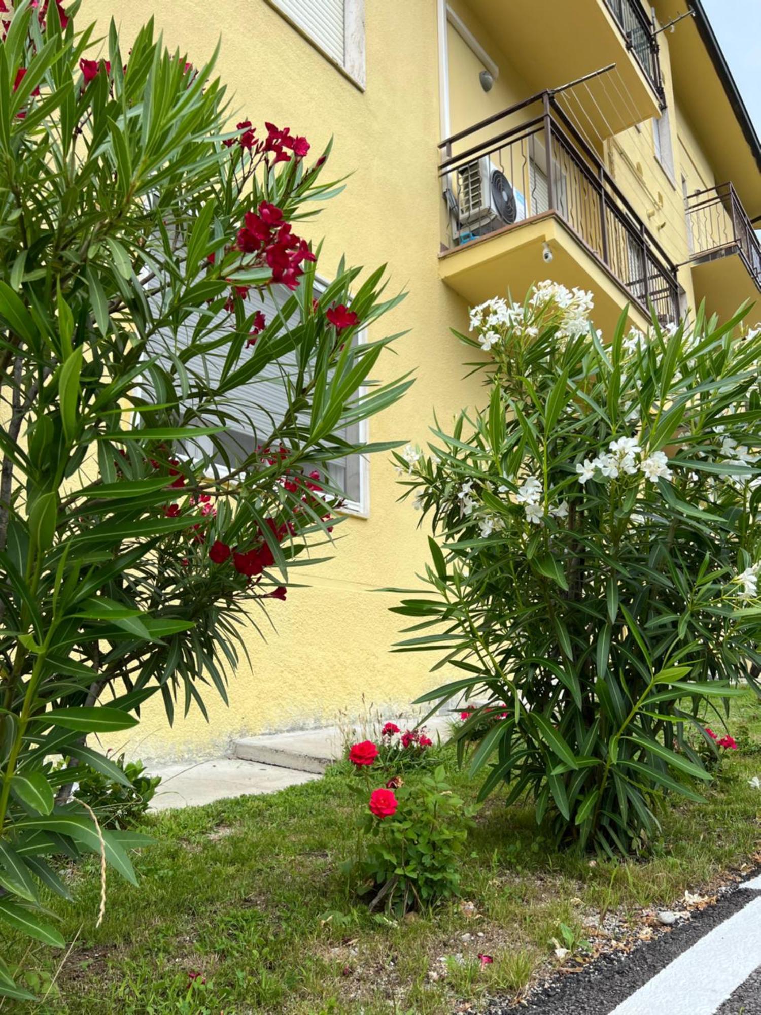 Вілла Casa R&E Valbrona Екстер'єр фото